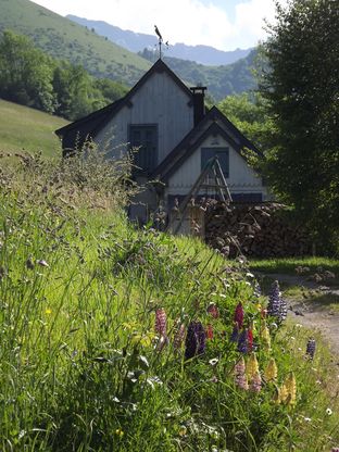 Le chalet l'été